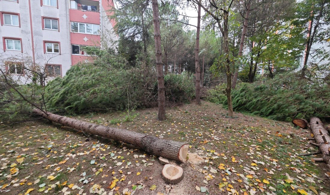Yahya Kaptan Mahallesi’nde gerçekleştirilen