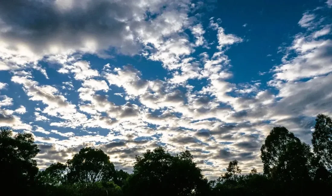 Meteoroloji Genel Müdürlüğü verilerine