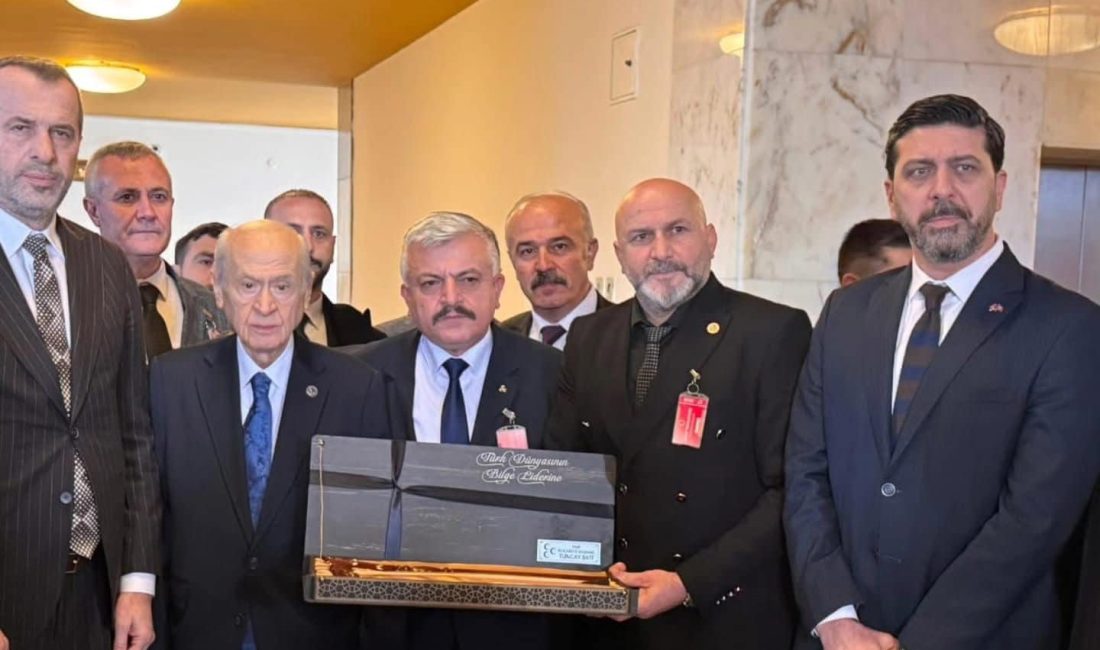 Milliyetçi Hareket Partisi (MHP)