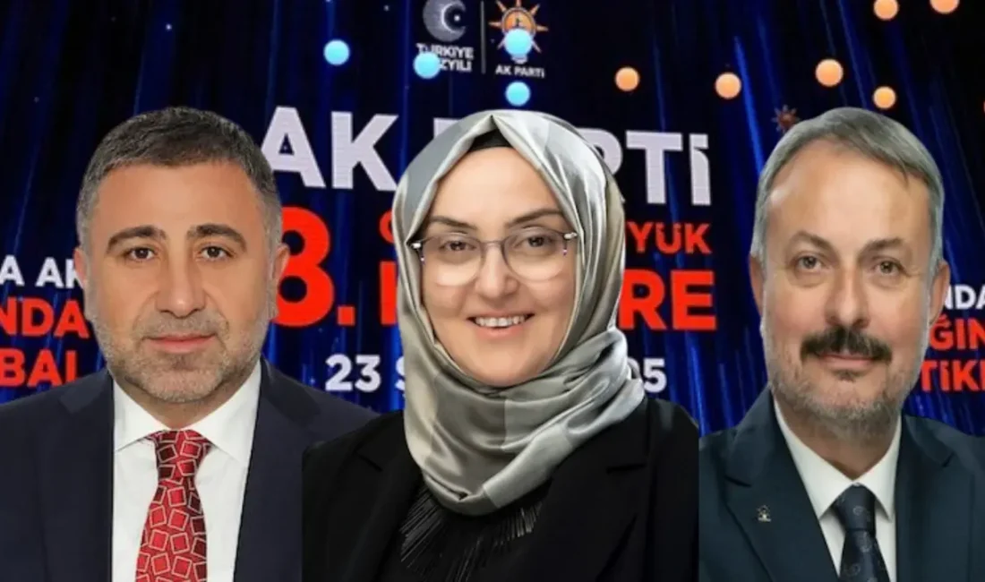 AK Parti 8. Olağan