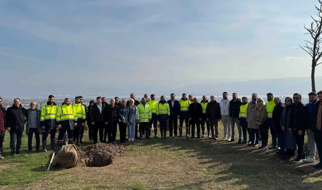 Büyükşehir, Üsküdar vapuru faciasında