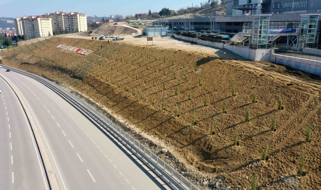 Büyükşehir, “Daha yeşil bir