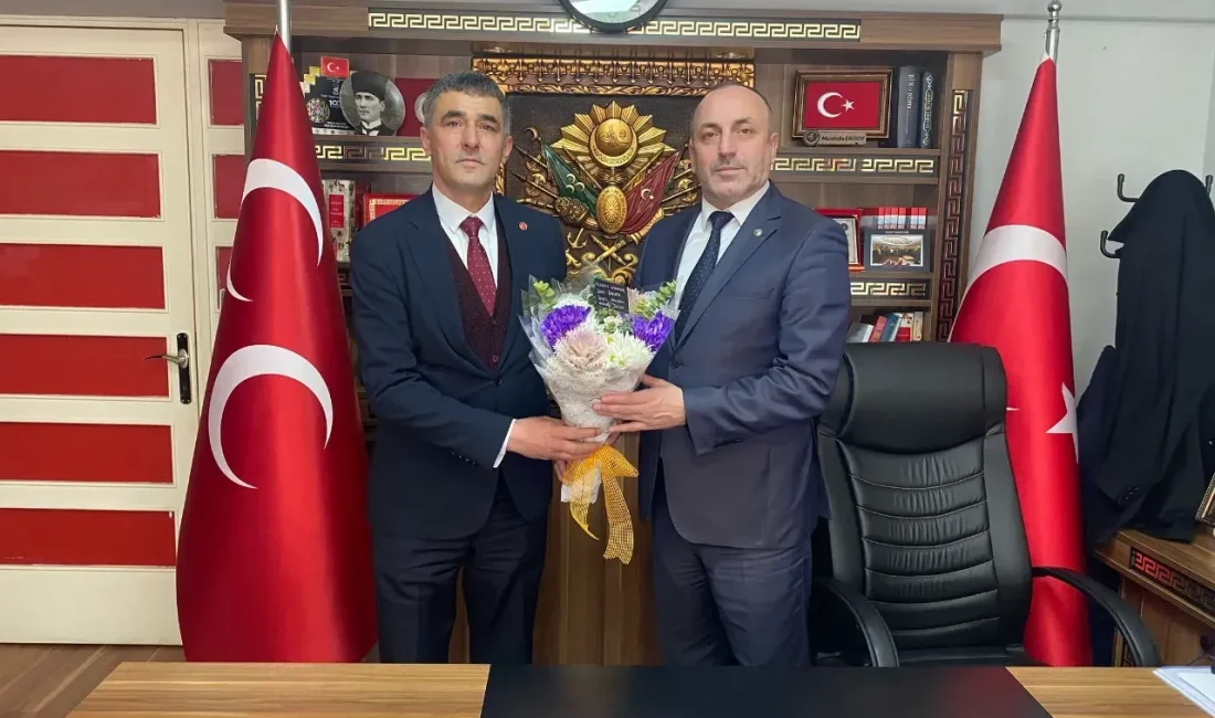 Milliyetçi Hareket Partisi (MHP)
