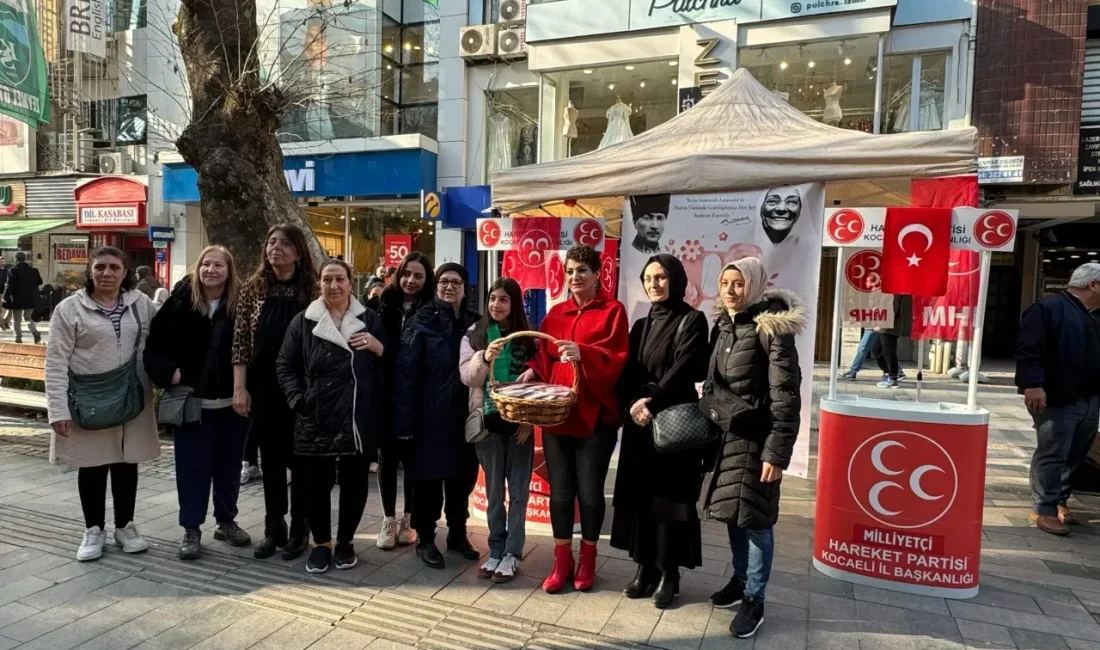 Milliyetçi Hareket Partisi (MHP)