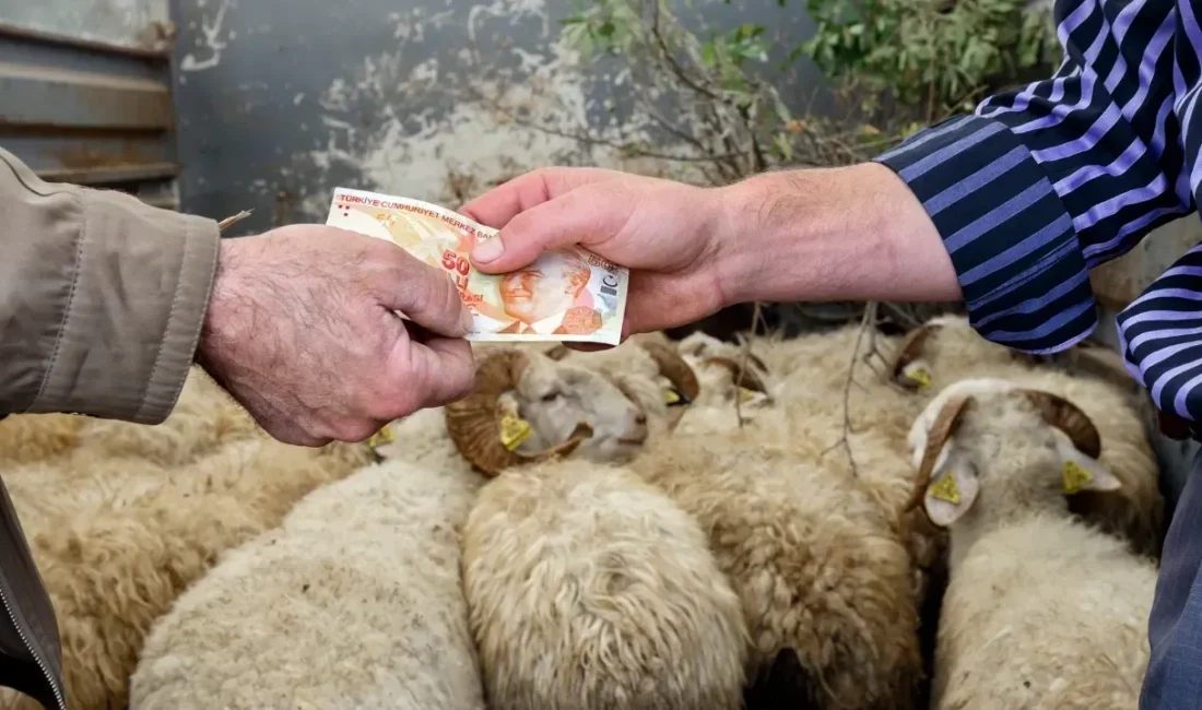 Kurban Bayramı öncesi pazarlarda