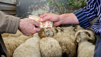 Kurban Bayramı öncesi pazarlarda şaşırtıcı