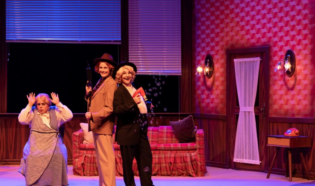 Kocaeli Şehir Tiyatroları, Almanya’da