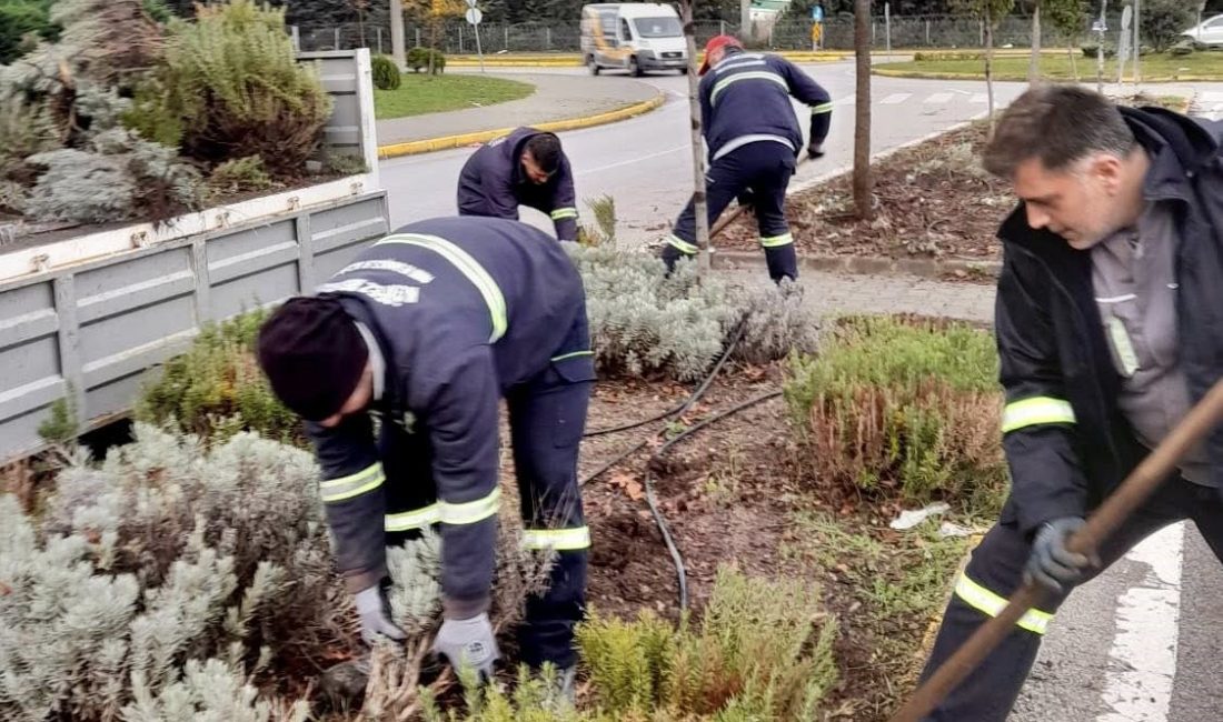Körfez’de kentin estetik görünümünü