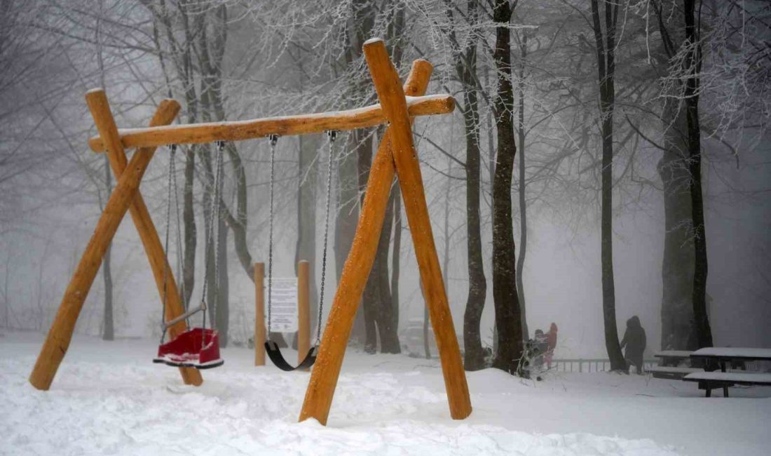 Kocaeli’ye lapa lapa kar yağıyor