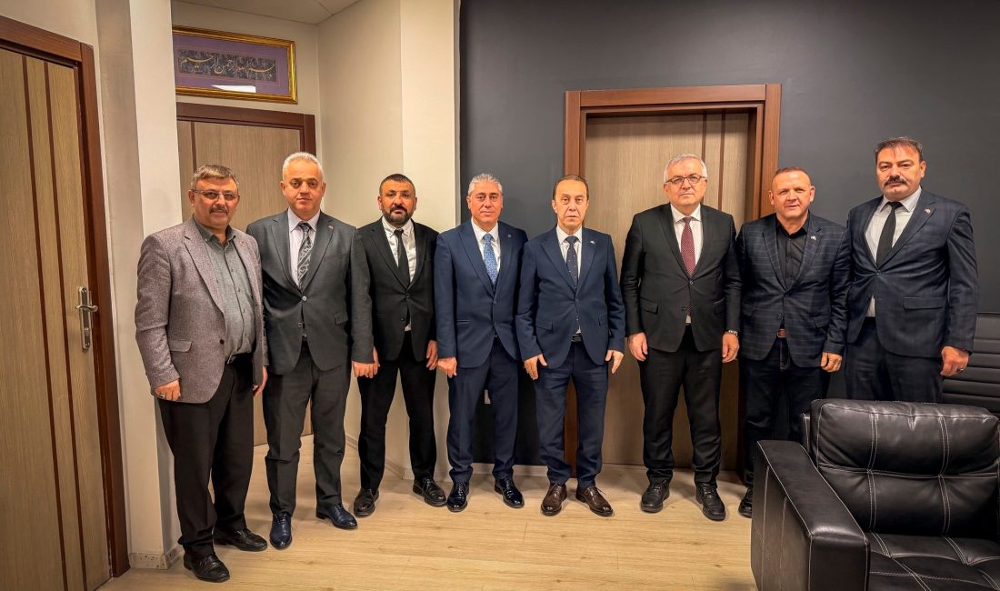 Milliyetçi Hareket Partisi (MHP)