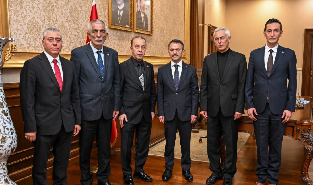 Milliyetçi Hareket Partisi (MHP)