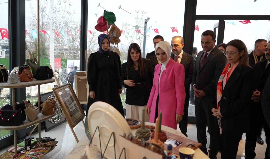 Aile ve Sosyal Hizmetler