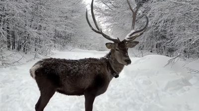 Ramazan Bayramı’nda beyaz örtüyle kaplanan