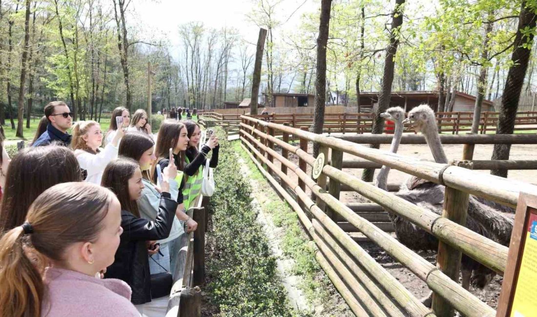 Kocaeli’ye gelen Batı Trakyalı