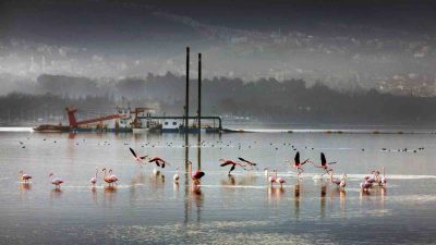 Kocaeli Büyükşehir Belediyesi ile Çevre,