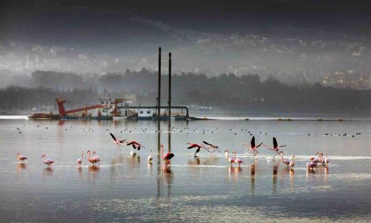Kocaeli Büyükşehir Belediyesi ile Çevre,
