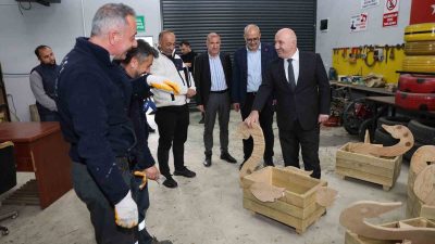 Darıca Belediyesi, parklar ve kamusal