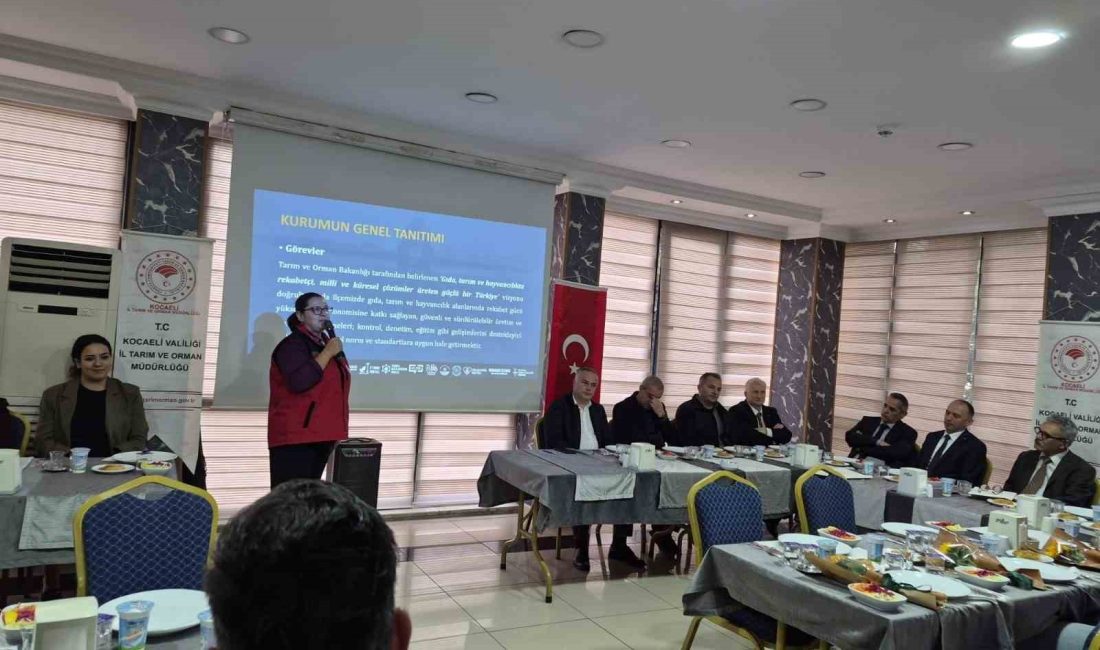 Kocaeli’de başlatılan projeyle kuruluşlarda