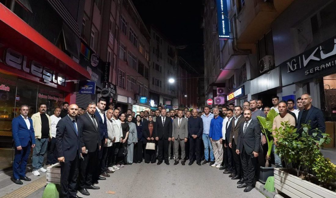 Milliyetçi Hareket Partisi’nin 15. Olağan