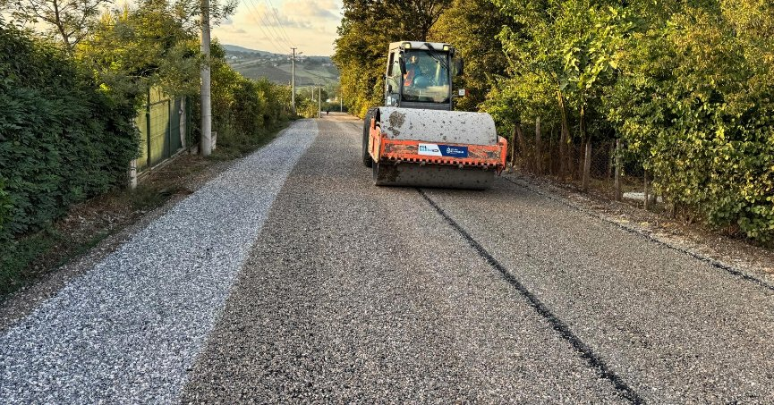 Kocaeli Büyükşehir Belediyesi, kent